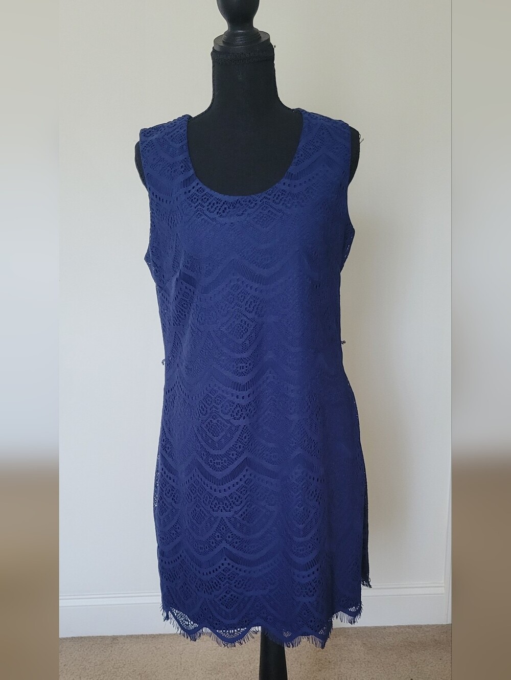 Candalite Royal Blue Geometric Lace Sheath Dress Size M